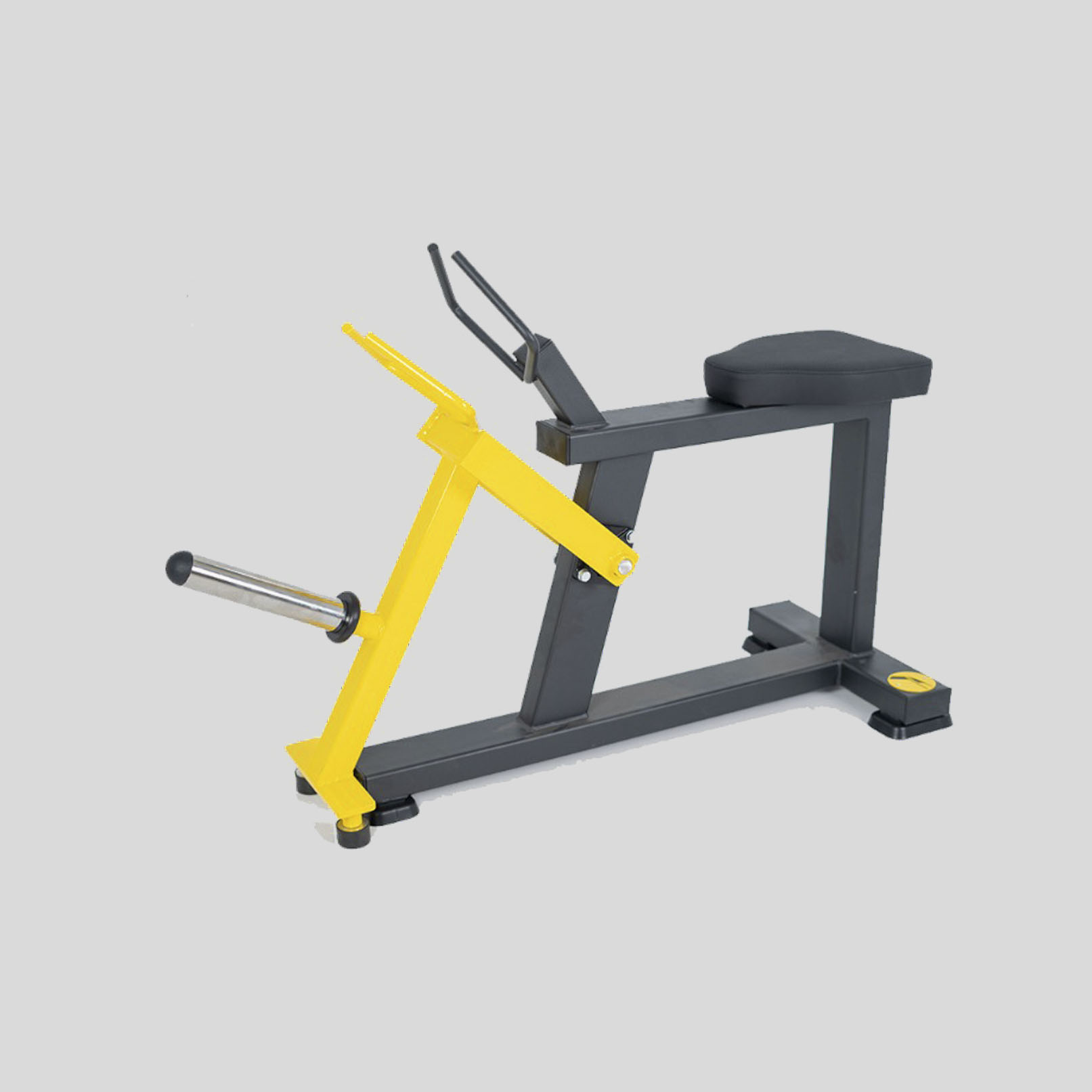 Preacher Curl Bench