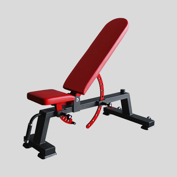 Multi-Adjustable Bench