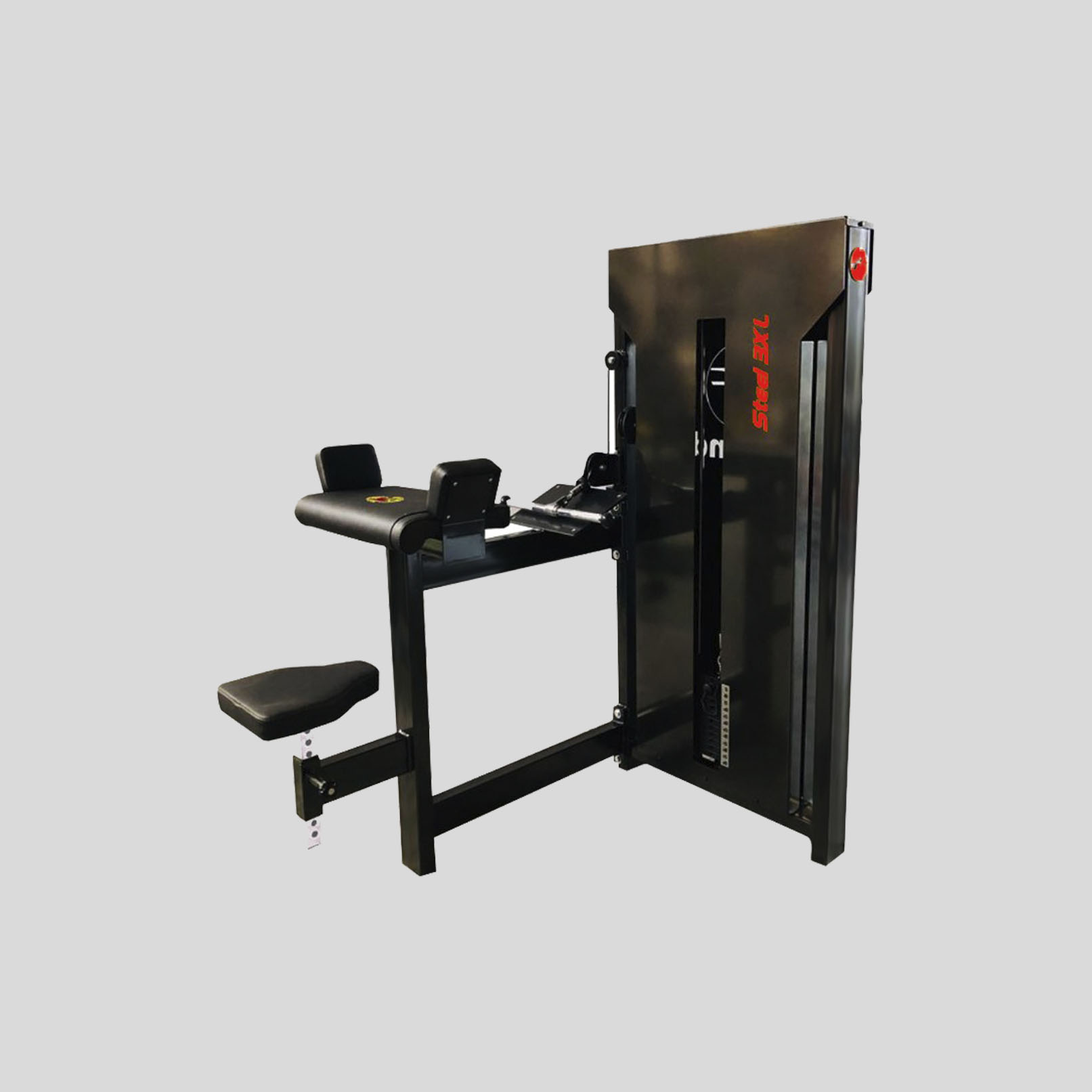 Seated Biceps Curl — Nuotrauka 1/1