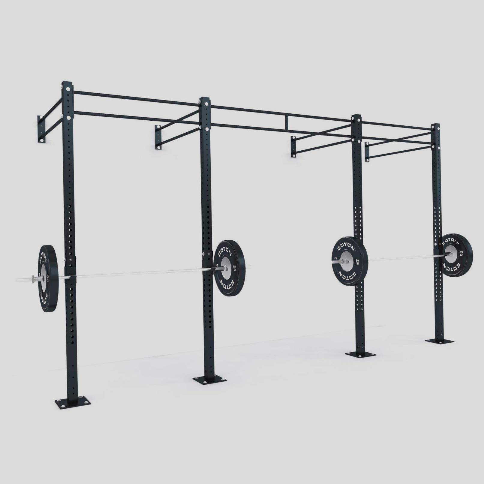 Functional Training Rig (Wall-Mounted)
