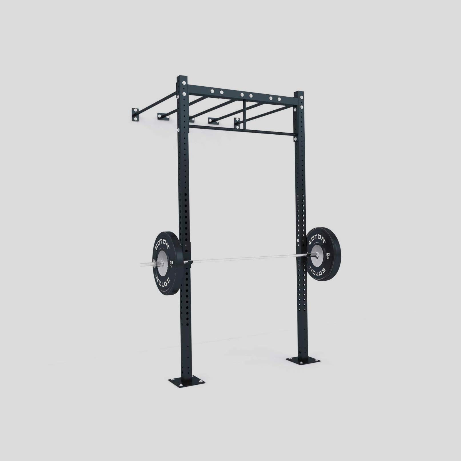 Functional Training Rig (Wall-Mounted)
