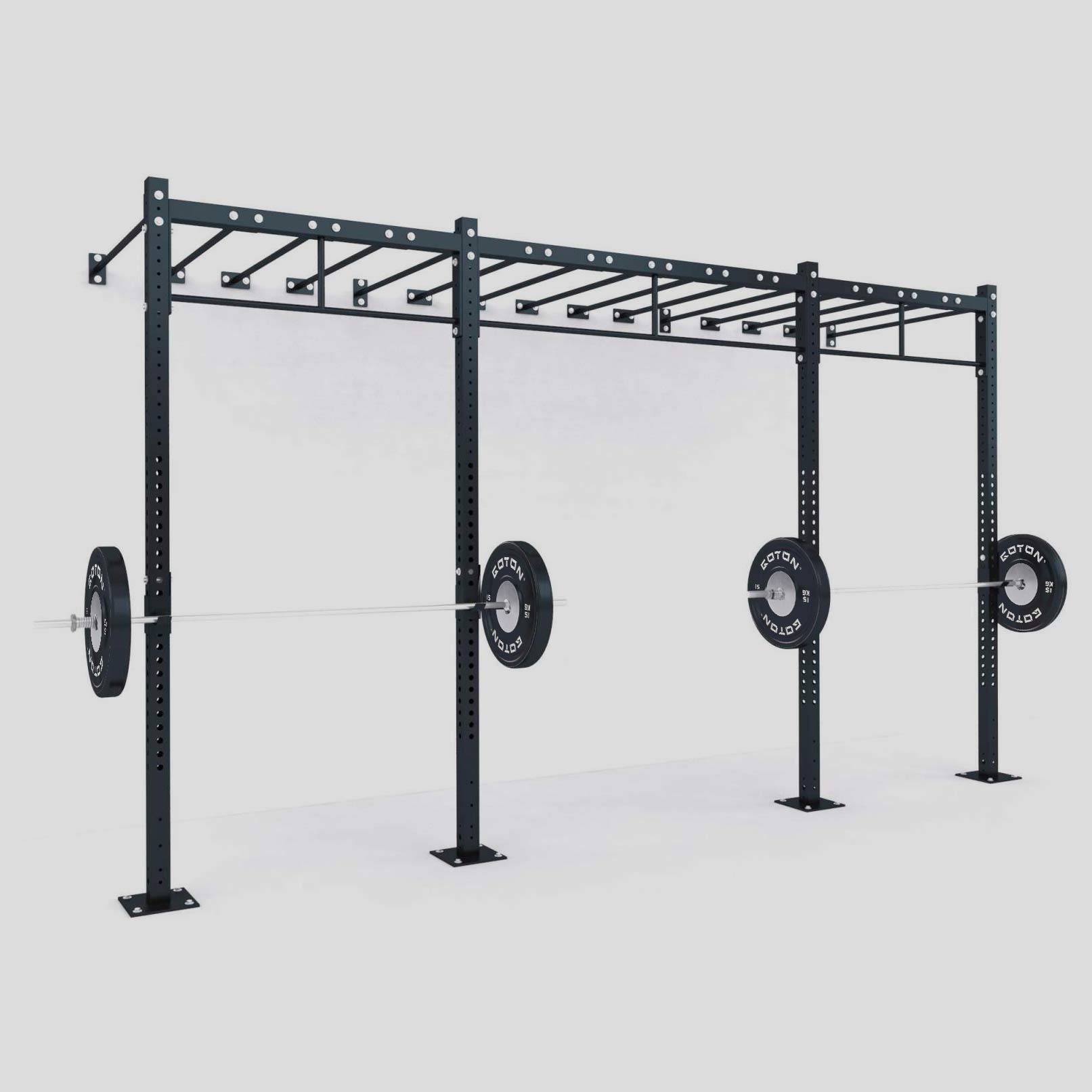Functional Training Rig (Wall-Mounted)
